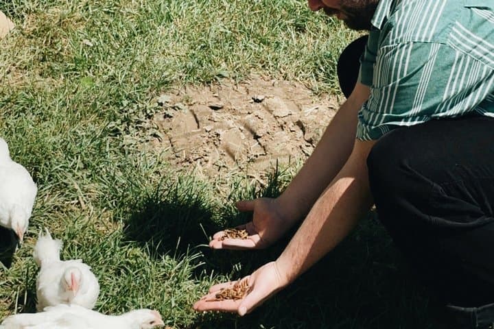 Sustainable Winery Tour and Garden Picnic
