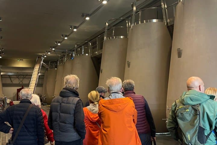 Medoc Private Half Day Wine Tour from Bordeaux