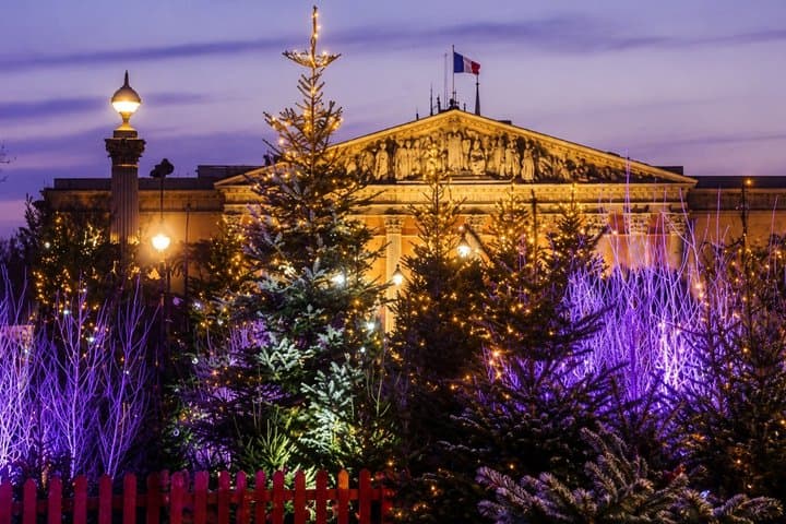 Paris Christmas Tour: Private & Custom with a Local Guide