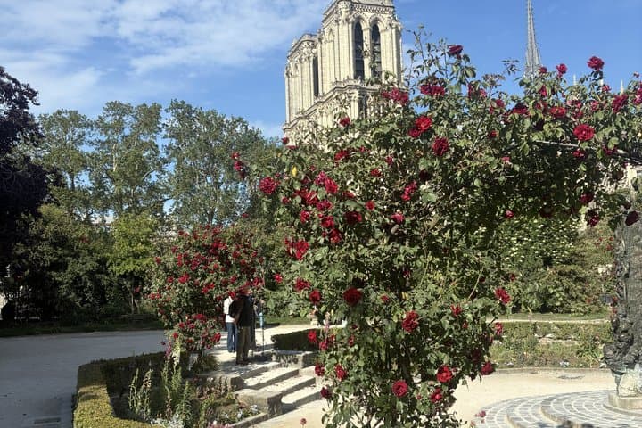 Latin Quarter & Notre-Dame: 2,000 Years of History in small group