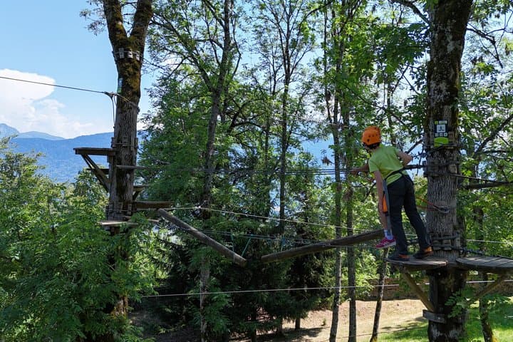 Tree top Adventure at Tamié Fort
