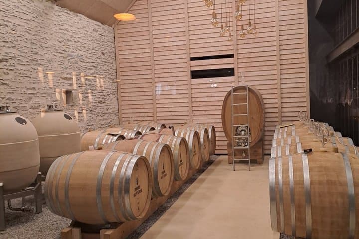 Morning Loire Anjou Wines Tasting Tour