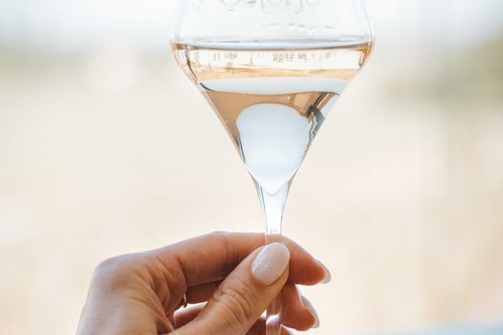 Sauternes and Pessac Leognan Full Day experience