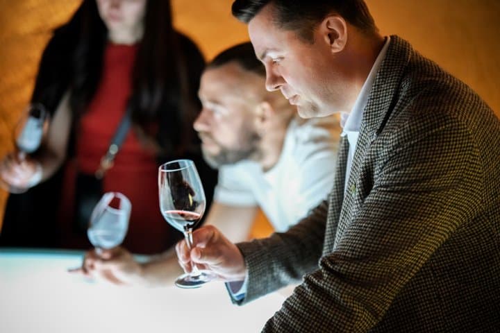 Sauternes and Pessac Leognan Full Day experience