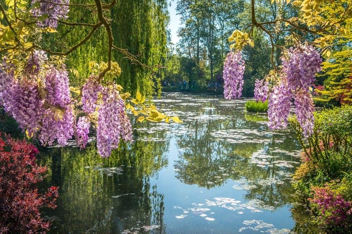 Monet Giverny Gardens Private Tour