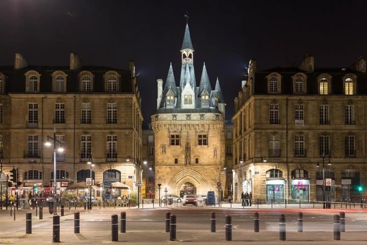 Bordeaux Night Walking Tour with Tram Ride