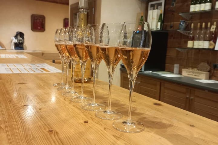 Private Wine and Culture Tour, The Essence of Alsace