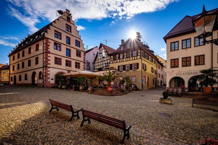 Private Cross Border Wine Tour Alsace and Kaiserstuhl Experience
