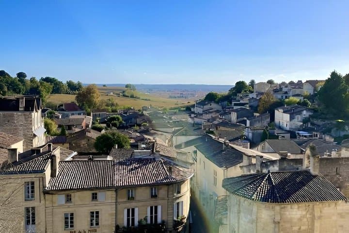 Private Saint-Emilion Wine Tour with tastings, from Bordeaux