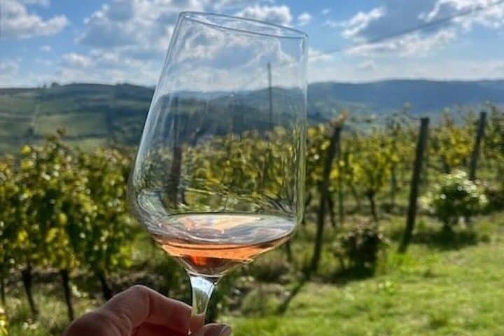 Private Wine and Culture Tour, The Essence of Alsace