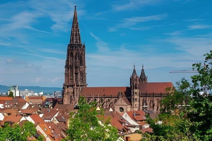 Private Cross Border Wine Tour Alsace and Kaiserstuhl Experience