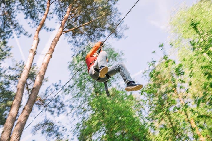 Adventure Park and Climbing Day in the Forest near Paris