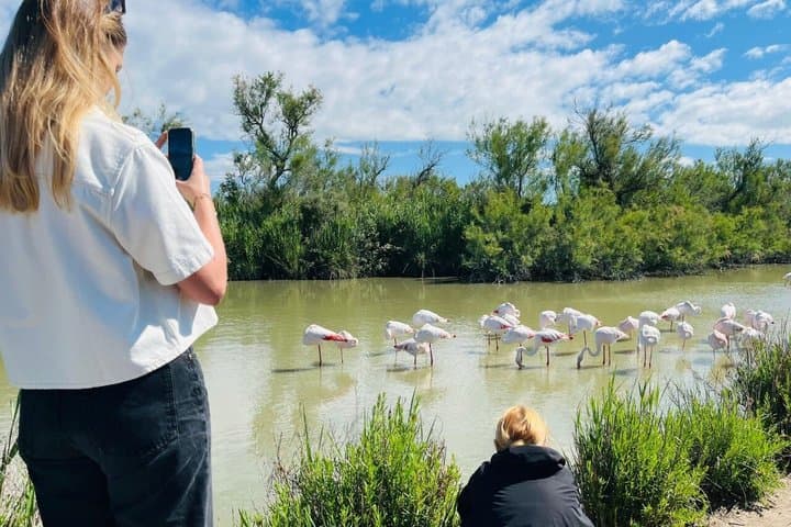 Camargue Full Day Tour from Avignon