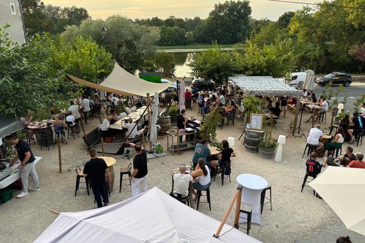 Loire Valley: Wine Tasting & Tour at the Winery
