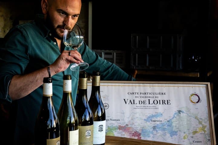 Loire Valley: Wine Tasting & Tour at the Winery