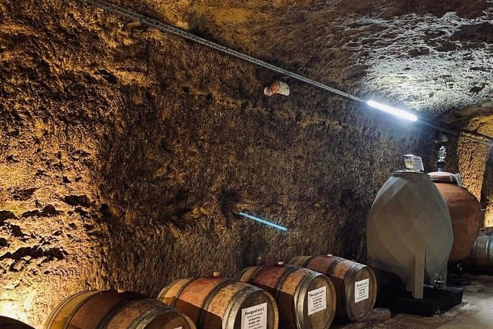 Loire Valley: Wine Tasting & Tour at the Winery