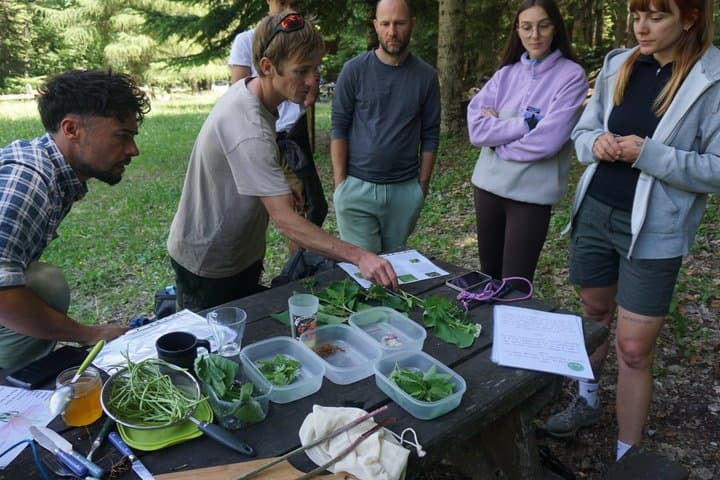 Naturalist Adventure with Forest Bivouac
