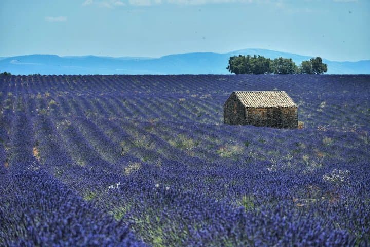 Valensole Lavender Fields & Moustiers Private Tour from Marseille
