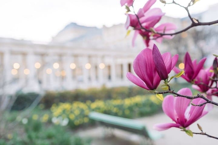 Paris Palais Royal and Covered Galleries Audio Walking Tour