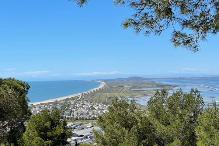 Visit to Sète and its different neighborhoods Check-out Montpellier