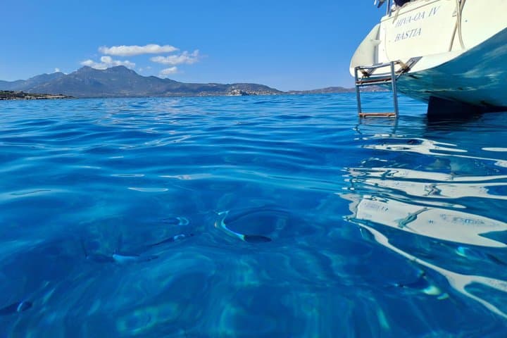 Calvi 3 Hour Small Group Sailing Tour with Swim and Sunset option