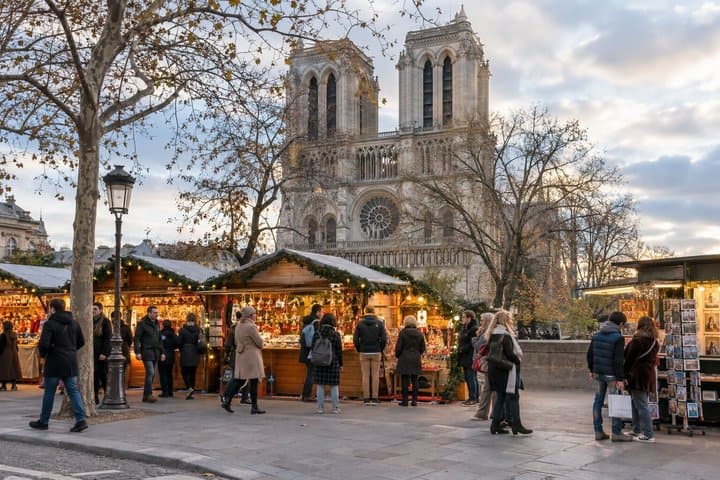 Christmas Private Tour in Paris Notre Dame