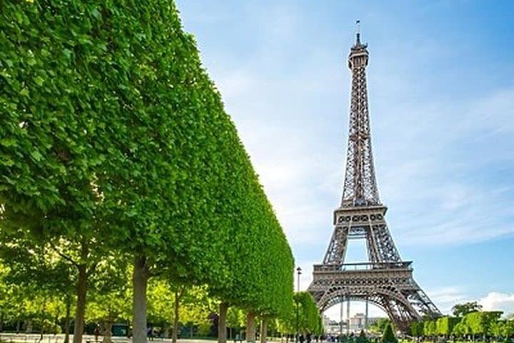 Eiffel Tower, Seine Cruise and Notre-Dame Paris Highlights Tour